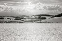 Open Range